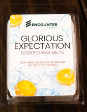 Load image into Gallery viewer, Encounter Today Wax Melts
