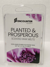 Load image into Gallery viewer, Encounter Today Wax Melts